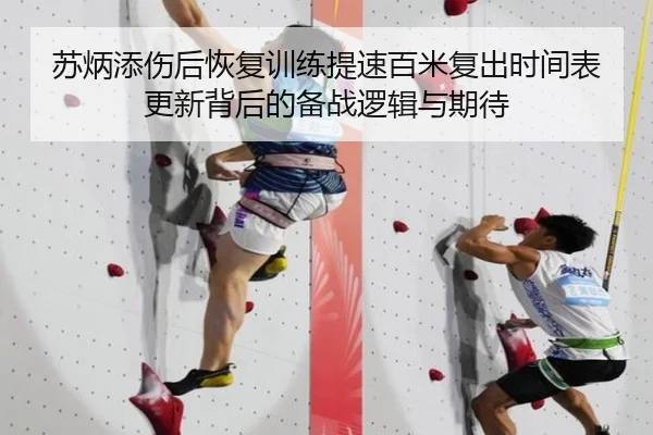 苏炳添伤后恢复训练提速百米复出时间表更新背后的备战逻辑与期待